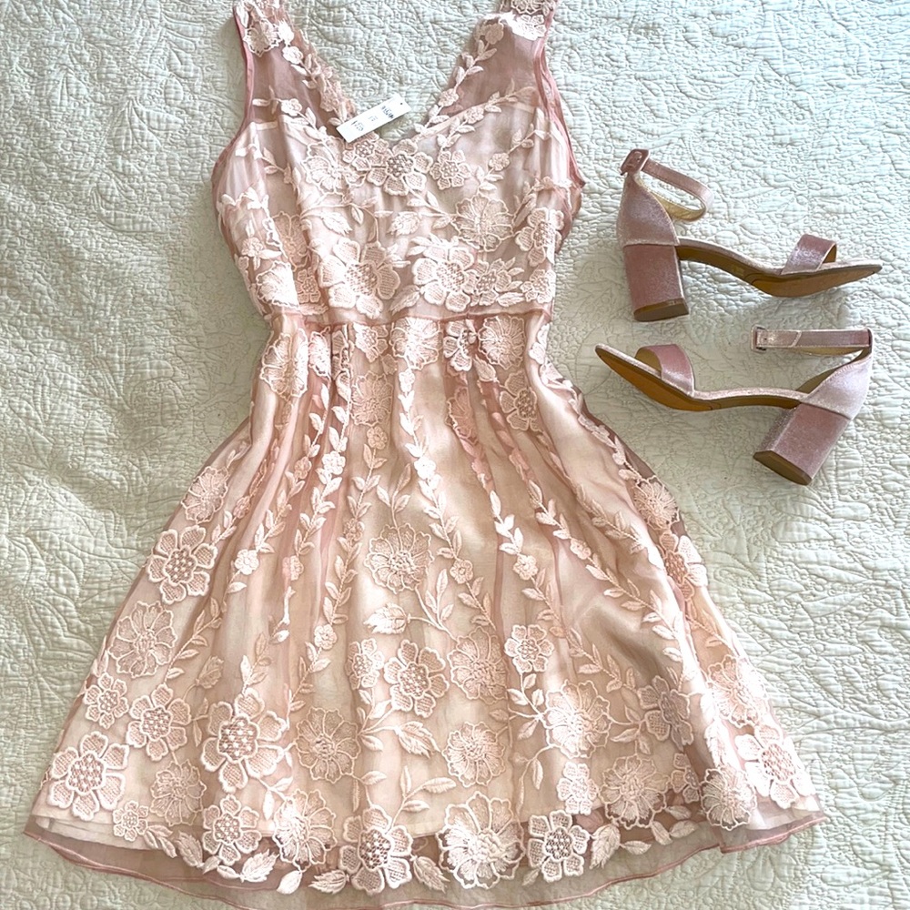 Anthropologie Joana Baraschi Blush Lace Dress